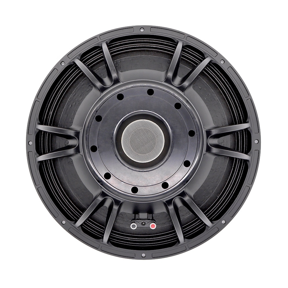 Sistema Audio Professionale da - Speakers recensione e prezzo